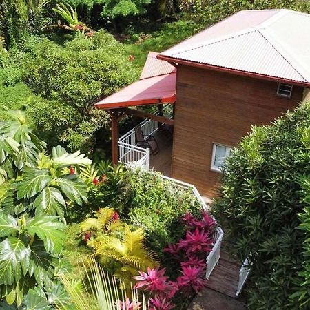 Mahogany Lodge - Oasis Cosy Rivière-Pilote 外观 照片