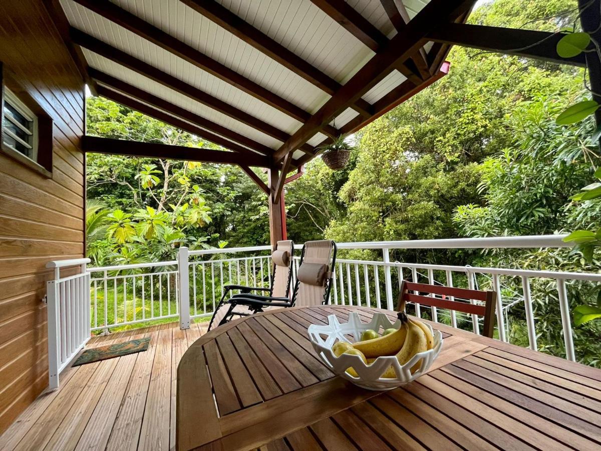 Mahogany Lodge - Oasis Cosy Rivière-Pilote 外观 照片