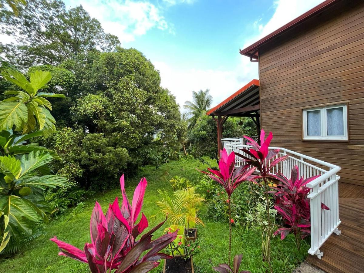 Mahogany Lodge - Oasis Cosy Rivière-Pilote 外观 照片