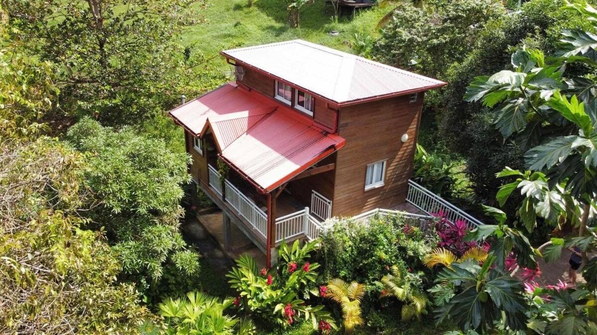 Mahogany Lodge - Oasis Cosy Rivière-Pilote 外观 照片