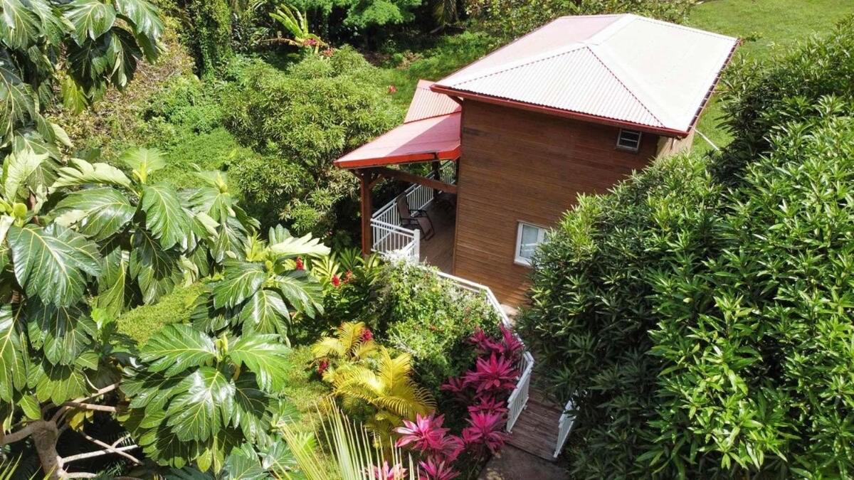 Mahogany Lodge - Oasis Cosy Rivière-Pilote 外观 照片