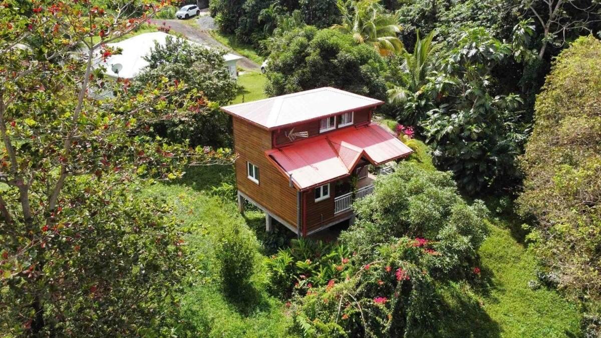 Mahogany Lodge - Oasis Cosy Rivière-Pilote 外观 照片